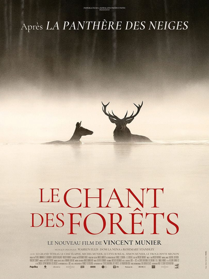 le-chant-des-forets